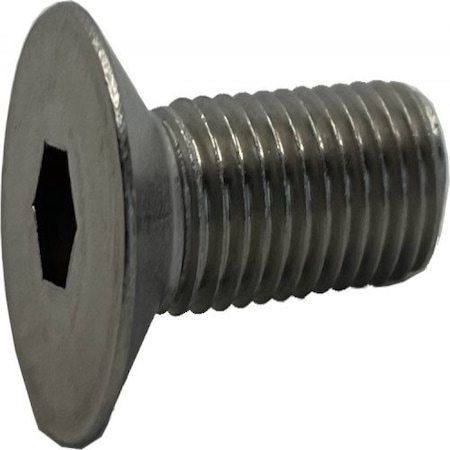 M12 Socket Head Cap Screw, Plain Stainless Steel, 25 Mm Length